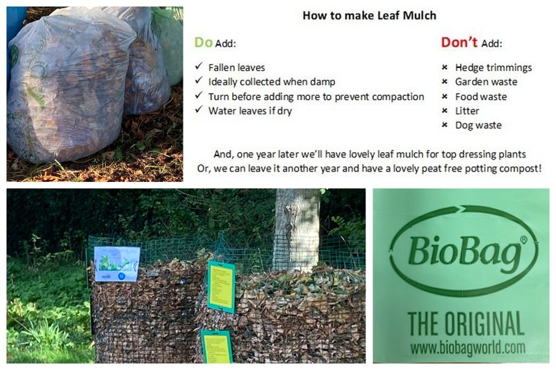 Lots of Leaf Cleaning in Progress!
